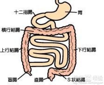 如何预防肠胃炎 怎么养肠道 预防肠胃炎的方法