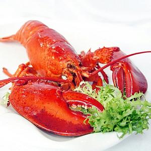小龙虾营养价值 大龙虾怎么养 大龙虾的营养价值