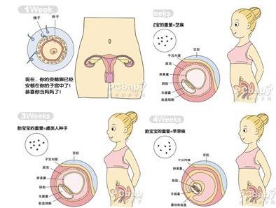 影响大脑发育的因素 什么因素会影响胎儿大脑发育