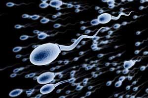 怎样能提高精子的活力 男性精子成活率低怎么办