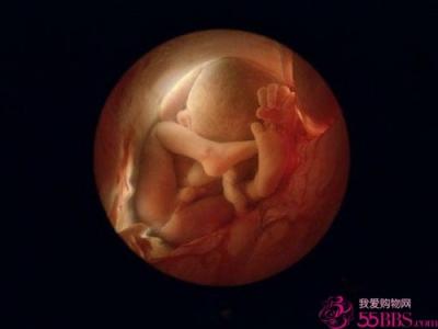 胎动总是在左边正常吗 胎动在左边正常吗