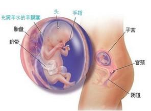 孕酮低影响胎儿发育吗 准妈妈影响胎儿发育的六个新观点