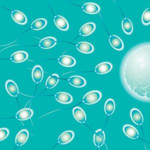 男性备孕期间禁欲多久 备孕男性吃什么精子强