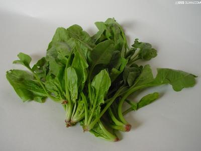 小儿健脾开胃合剂 春季常吃五大蔬菜能健脾开胃