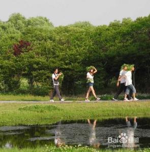 秋天适合做什么运动 夏天适合做什么运动