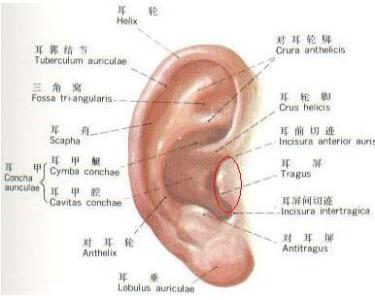 耳朵有胀痛怎么回事 耳朵胀痛是怎么回事