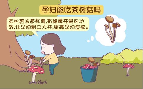 孕妇能吃茶树菇吗 孕妇吃茶树菇的好处是什么