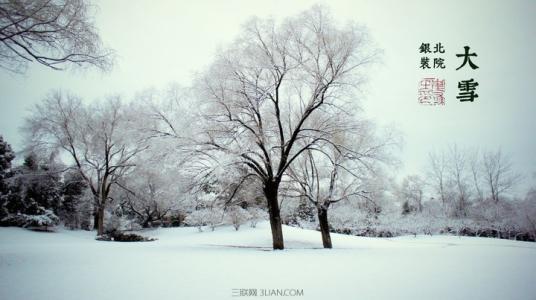 大雪节气养生 大雪节气如何养生 大雪节气养生原则