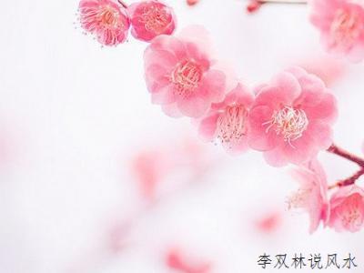 女人增加桃花运的风水 增加桃花运风水有什么