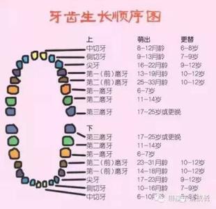 电脑常见问题解决大全 换牙期间常见问题及其解决