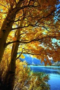 秋季最佳旅游地 迷失秋季探寻魅力旅游地