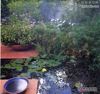 小庭院水景设计 为什么庭院中要建造水景