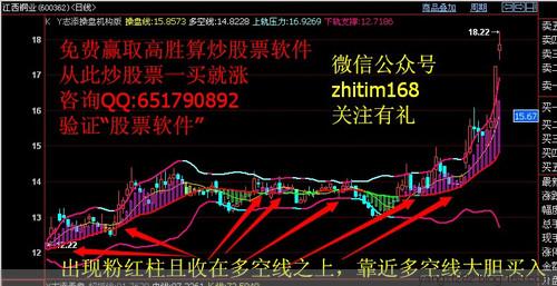 股票怎么买卖基础知识 股票买卖的基础知识