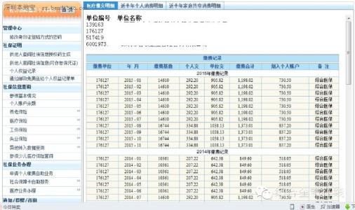 深圳社保缴费明细查询 昌吉市社保缴费明细查询