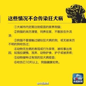 2016世界狂犬病日主题 世界狂犬病日历年主题大全