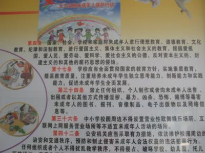 养成教育心得体会 小学生养成教育心得体会范本