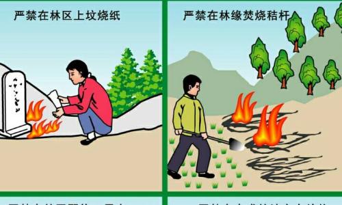 清明节预防火灾 清明节如何预防森林火灾