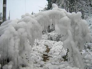预防自然灾害的措施 冰雪灾害的预防措施