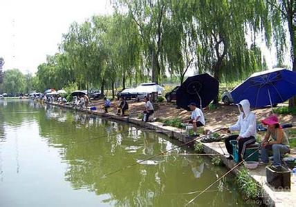 夏天钓鱼时间 夏天哪些时间段钓鱼好(2)