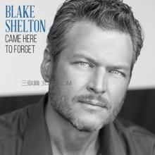 came here to forget Blake Shelton《Came Here To Forget》歌词