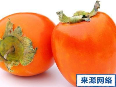 小柿子的营养价值 中秋吃柿营养健康