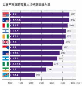 主食热量排行榜 主食热量排行健康营养丰富生活