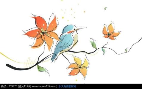 鸟是树的花朵课堂实录 鸟是树的花朵教学设计