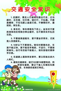 交通的安全知识 防交通安全知识资料