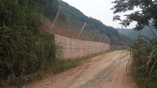 地质灾害巡查记录范文 地质灾害活动总结范文