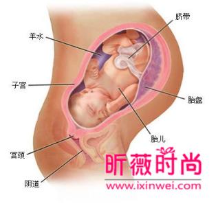 孕妇疲劳对胎儿的影响 准妈妈疲劳是否会影响胎儿发育
