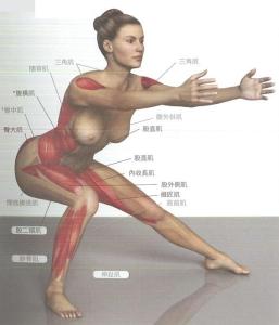 锻炼腿部肌肉的方法 锻炼腿部肌肉的3个方法
