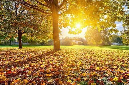 描写秋日阳光的句子 描写秋日阳光的优美语句