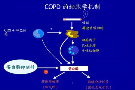 肺气肿能活多久 肺气肿是如何形成的