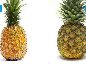 凤梨和菠萝哪个贵 凤梨与菠萝有什么区别