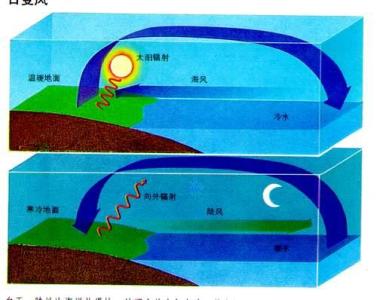 海陆风形成的原因 海陆风形成的规律和影响