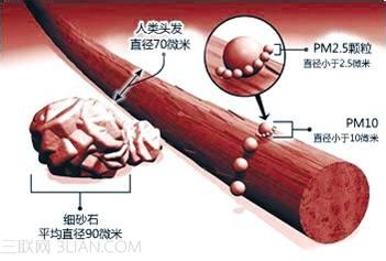 pm2.5到底是什么 PM2.5到底是什么？进肺进血！