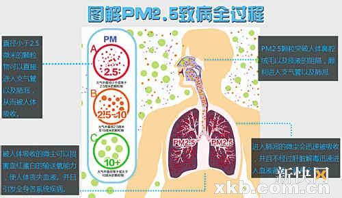 pm2.5对健康的危害 PM2.5对人体健康有哪些危害