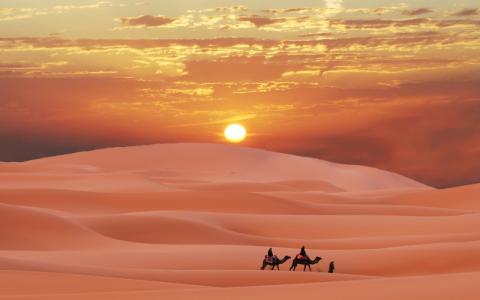 撒哈拉沙漠形成原因 撒哈拉沙漠是怎样形成的 撒哈拉沙漠的资源