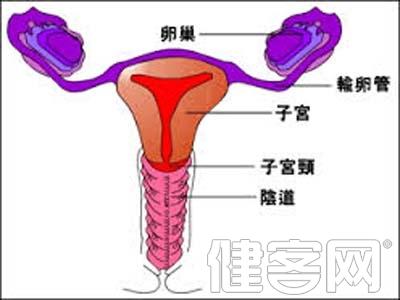 子宫癌的形成 女性子宫癌是怎样形成的