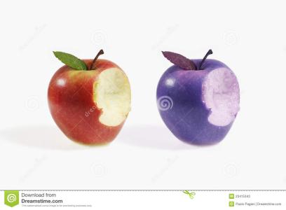 苹果怎么下载万博 怎么种苹果_苹果应该怎么种