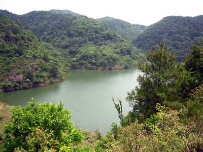 九龙山自然保护区 丽水九龙山自然保护区