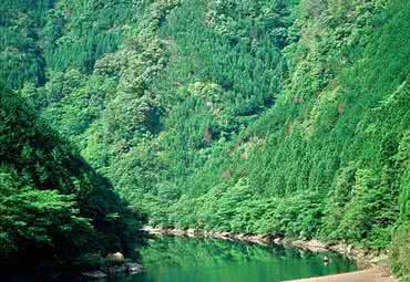 渭河源头风景区 渭河源国家森林公园