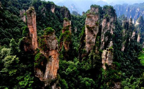 杨家界自然保护区 天子山自然保护区