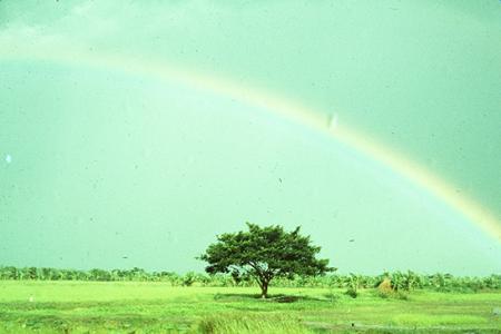 人生彩虹总在风雨后 阳光彩虹总在风雨后的人生哲理