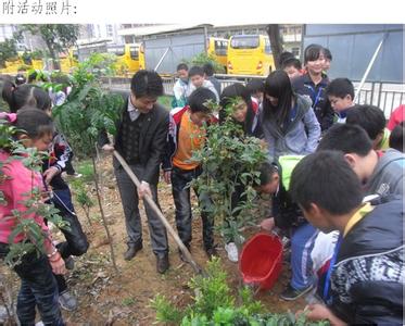学校植树节活动方案 2013年学校植树节活动方案