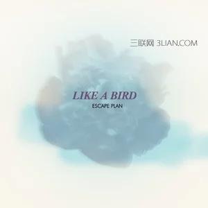 like a bird 逃跑计划 逃跑计划《Like A Bird》歌词