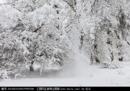 遗忘冬雪恋上exo 冬雪洁白