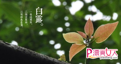 谷雨时节养生保健 白露时节注意养生保健