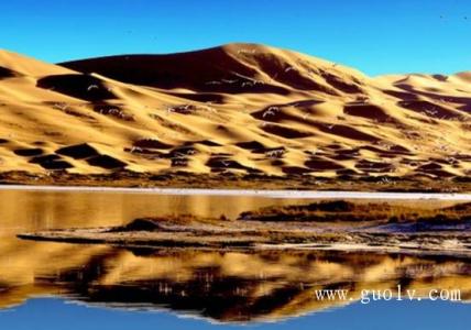 腾格里沙漠天鹅湖 内蒙古腾格里沙漠天鹅湖
