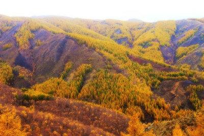 内蒙古有山吗 内蒙古苏木山